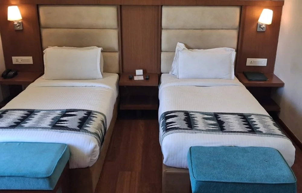Deluxe Twin Room with City View